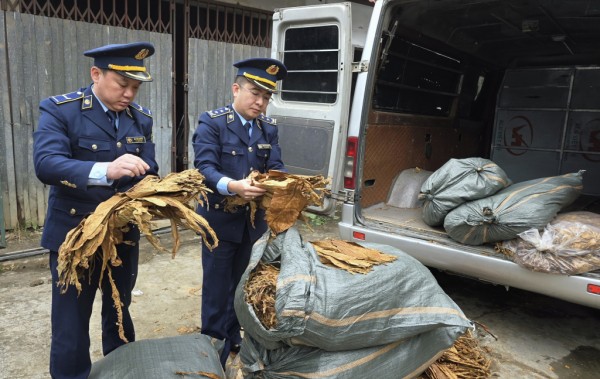 Cao Bằng: Thu giữ 1.231kg nguyên liệu thuốc lá lá sấy khô nhập lậu